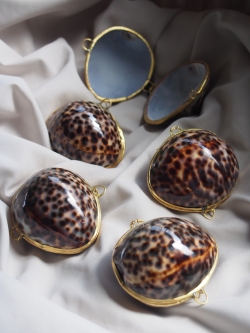 貝殻の小物入れ-シプレアタイガー-(ホシダカラ)【5cm前後/1個】 En:  Shell coin purse -Cyprea tiger- (size:approx.5cm, per 1pcs)