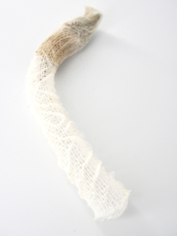 偕老同穴（カイロウドウケツ）【約23～26cm/1本】En: Venus' Flower Basket (Size: 23～26cm, per 1pc)