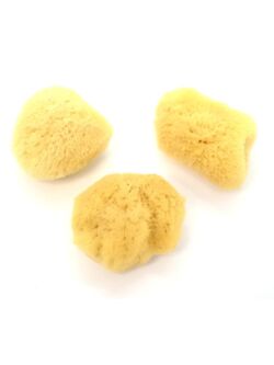 特選海綿【約3～4cm/3個入】[メール便可-12袋まで]　  En: Sea sponge(Size:3-4cm, per 3pcs)