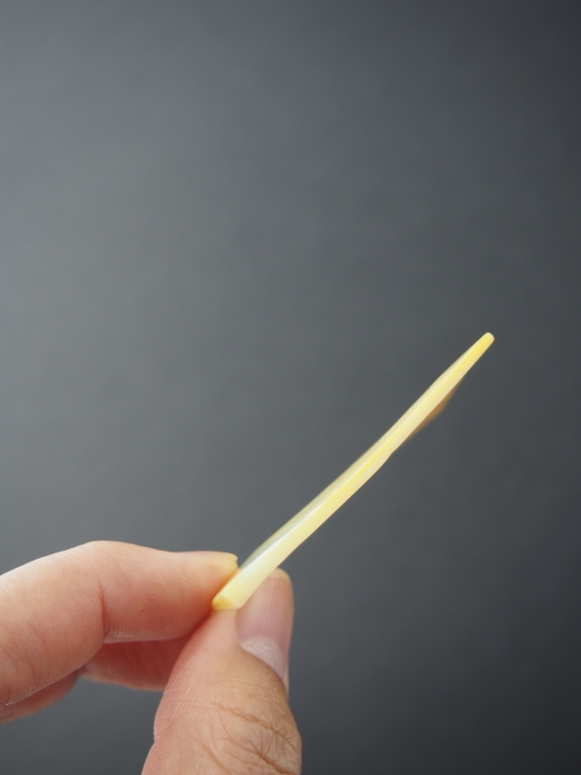 Meyo 7175　　貝殻10点 4934054105366_690c11b91e22db36