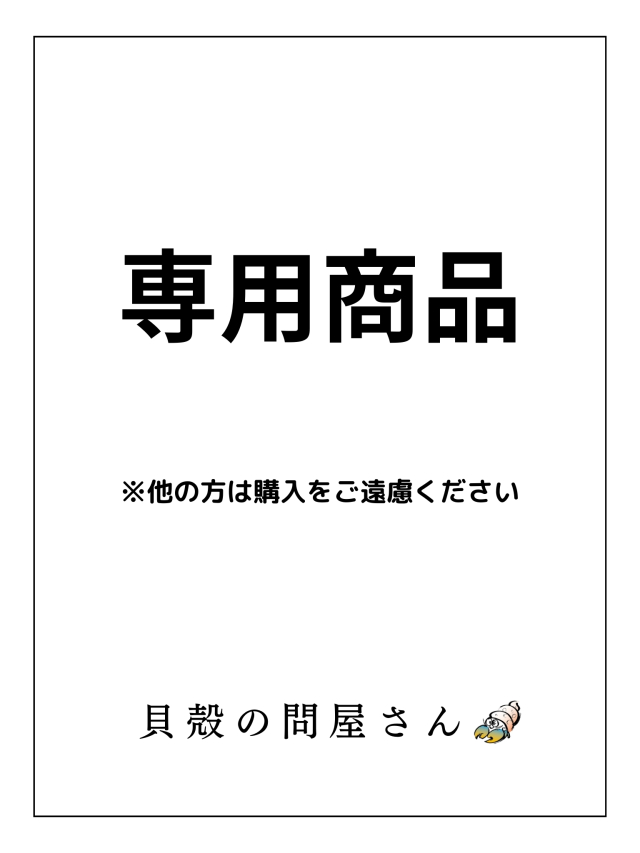 専用商品 A】他の方は購入をご遠慮ください（10個セット） 