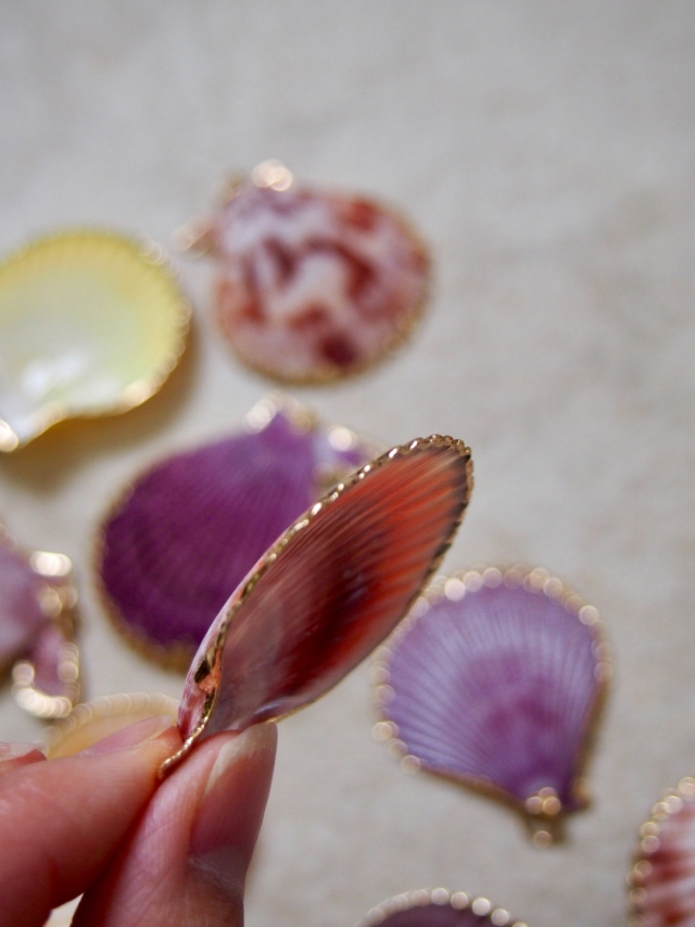 シェルチャーム - ヒオウギガイ オレンジ（ゴールドエッジ）【約4.0