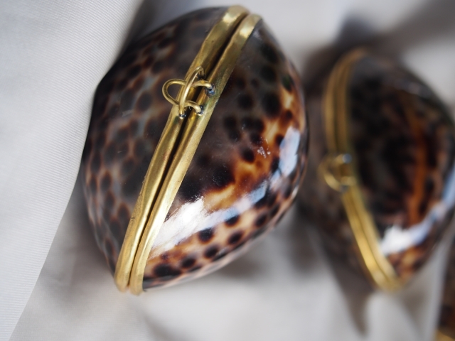 貝殻の小物入れ-シプレアタイガー-(ホシダカラ)【5cm前後/1個