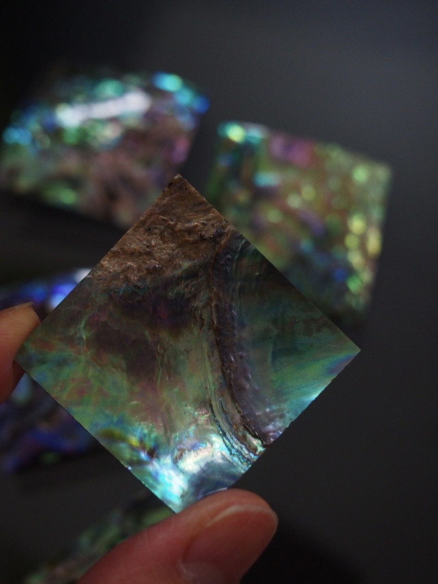 貝殻プレート - アワビ-パウアアバロン (正方形)【約3.5×3.5cm/1