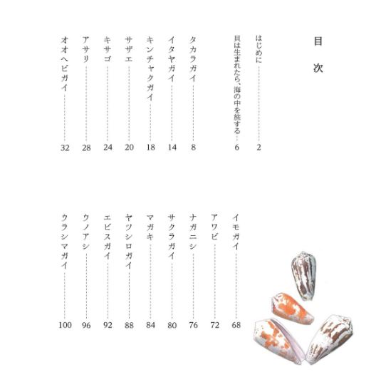 貝殻の記憶 図鑑】子どもと一緒に覚えたい貝殻の名前