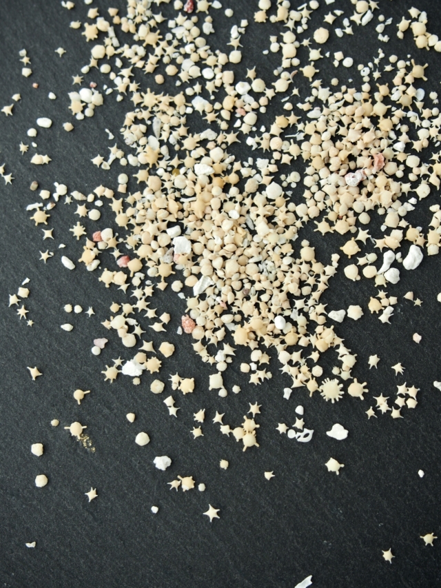 天然星の砂（漂白済み）【約1～3mm】[メール便可-100g×6袋まで] En