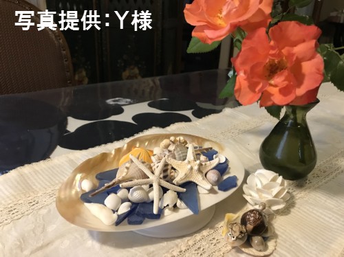 淡水真珠貝【約26～28cm/1枚】 En: Freshwater pearl MOP polished