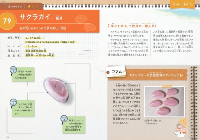 図鑑】みんなが知りたい！貝殻のすべて