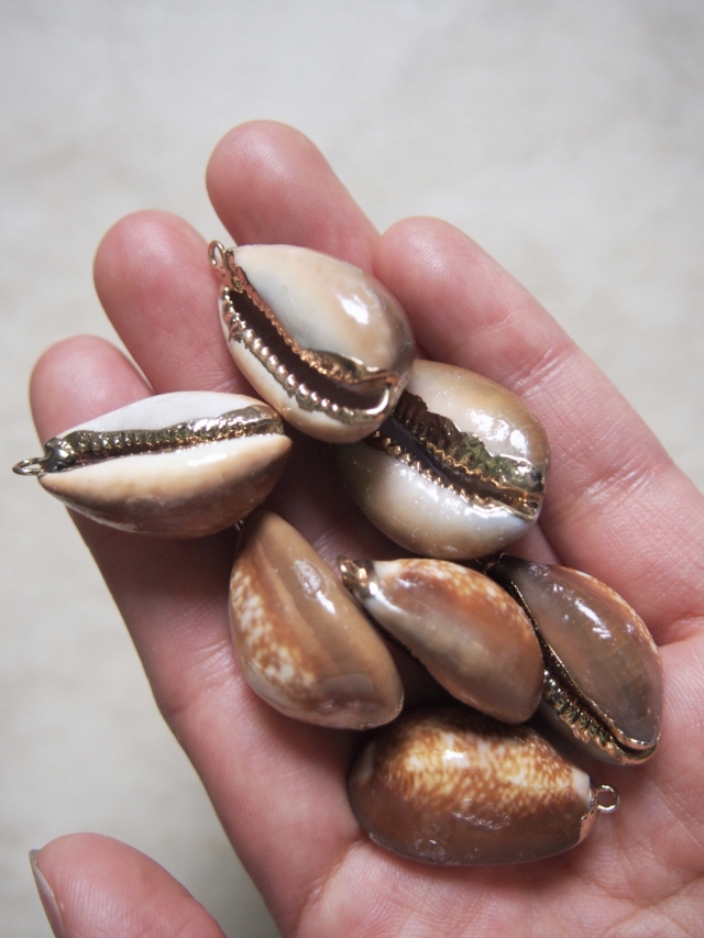 シェルチャーム - タカラガイ（ゴールドエッジ）【約2.5～3.0cm