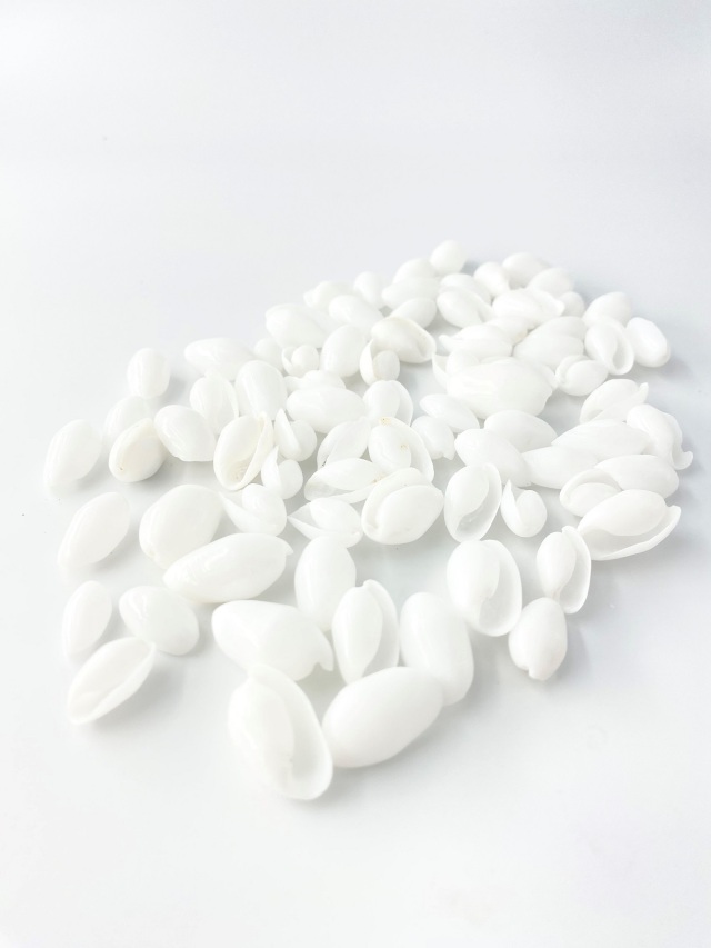 カイコガイ磨【約1.5～2.5cm】[メール便可-400gまで] En: White