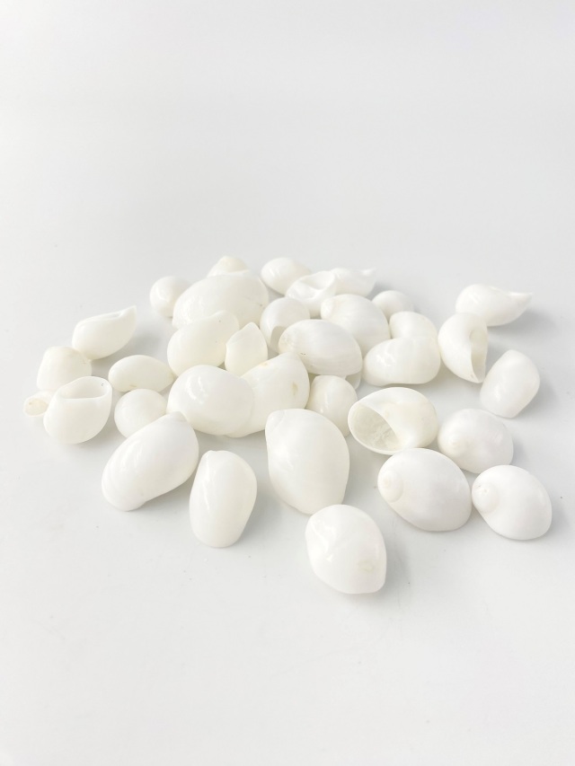 トミガイ磨き【約1.0～2.5cm/100g】[メール便可-4袋まで] En