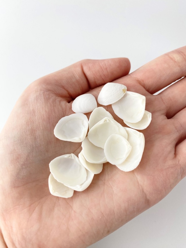 カイカイ ブラック&ホワイト 日本語版 美品 ホワイトカイカイ【約1.0