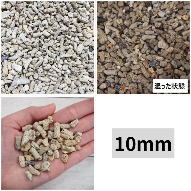 サンゴ砂 大口販売（約1トン）(送料別途）