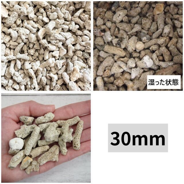 サンゴ砂 大口販売（約1トン）(送料別途）