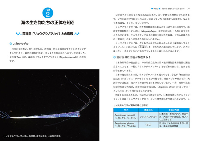 海月◇プロフ必読 図鑑】ふしぎ？なるほど！ 海の生き物図鑑2