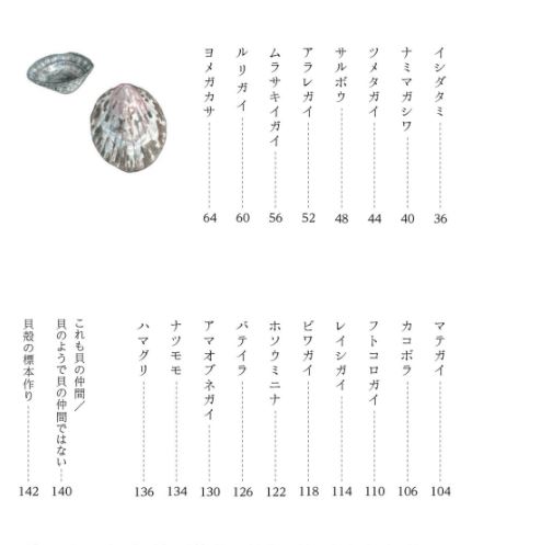 図鑑】子どもと一緒に覚えたい貝殻の名前