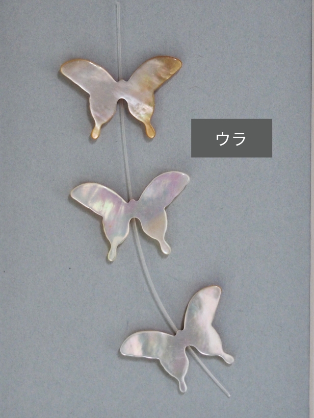 シェルビーズ - バタフライ(シロチョウガイ)【約28×19mm/1個