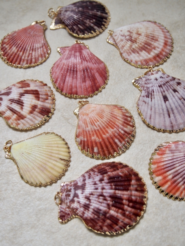 シェルチャーム - ヒオウギガイ ニュアンスカラー（ゴールドエッジ