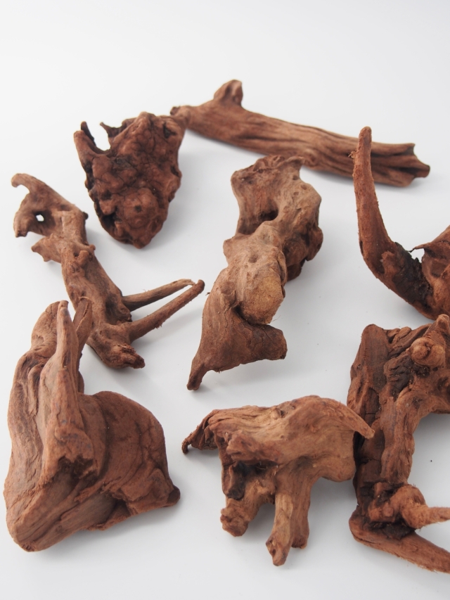 天然流木 マングローブ系【約10～15cm/1個】 