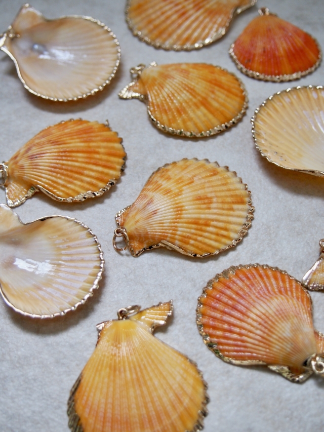 シェルチャーム - ヒオウギガイ オレンジ（ゴールドエッジ）【約4.0