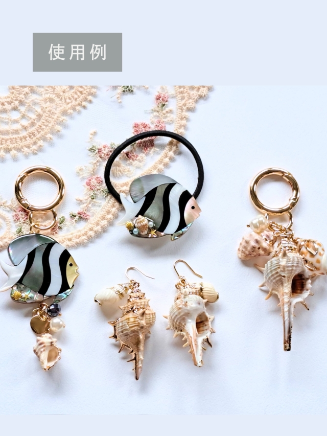 シェルチャーム - バイガイ（ゴールドエッジ）【約2.5～3.0cm】[メール