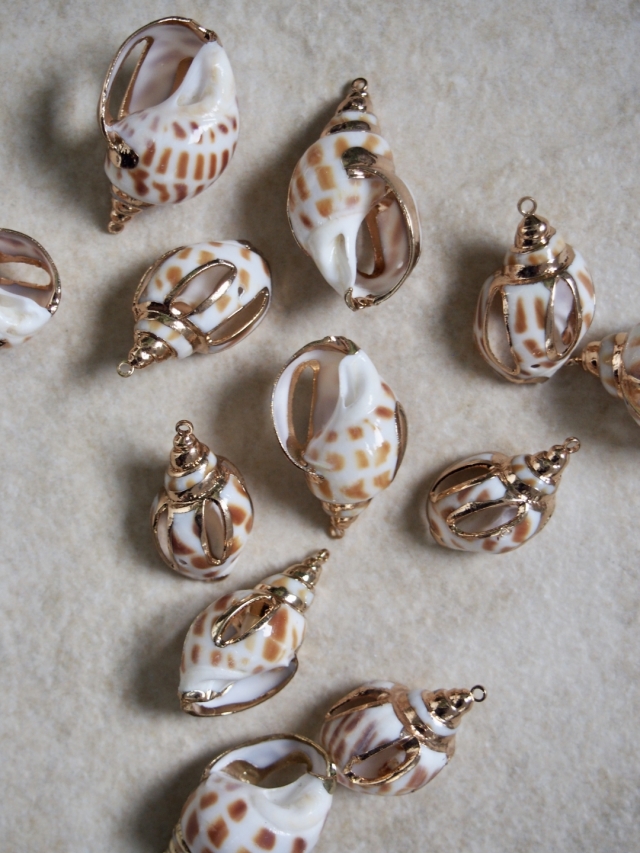 シェルチャーム - バイガイ（ゴールドエッジ）【約2.5～3.0cm】[メール