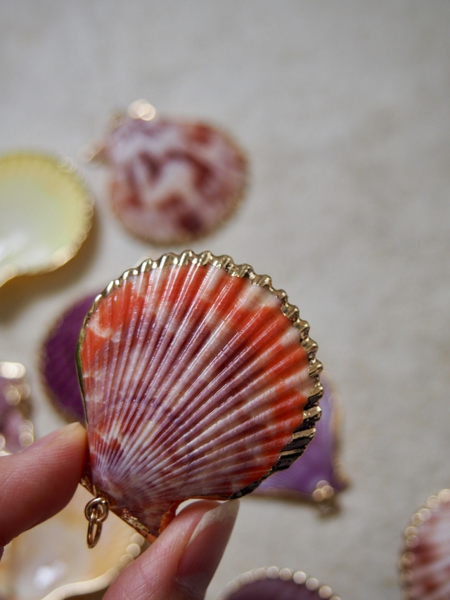 シェルチャーム - ヒオウギガイ オレンジ（ゴールドエッジ）【約4.0