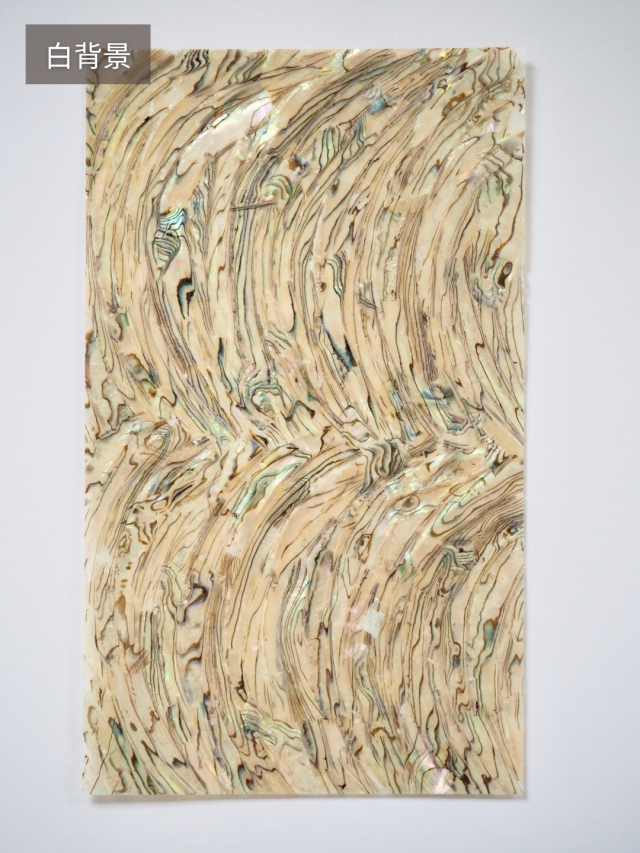 貝殻シート#6 ニュージーランドアバロン(パウアシェル)【14×24cm 厚さ