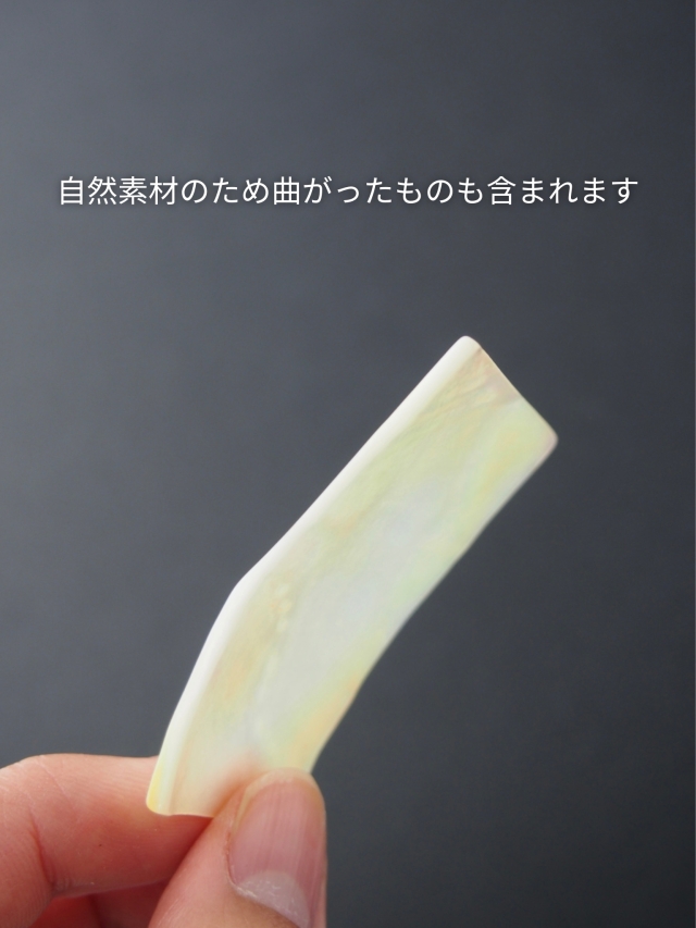 真珠貝プレート - シロチョウガイ(長方形)【約3cm×5cm/1枚