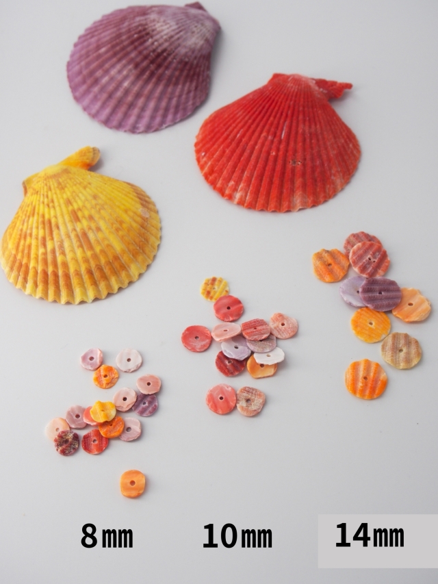 ひおうぎ貝.105ミリ ひおうぎ貝.105ミリ 楽天市場】ヒオウギ 貝（貝類｜魚介類・水産加工