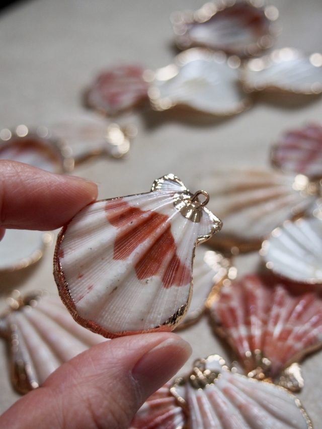 シェルチャーム - キンチャクガイ（ゴールドエッジ）【約3.0～4.0cm