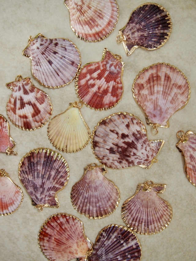 シェルチャーム - ヒオウギガイ ニュアンスカラー（ゴールドエッジ