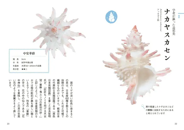 貝類図鑑 ヨドバシ.com - 貝類図鑑(自然科学ハンドブック) [全集叢書