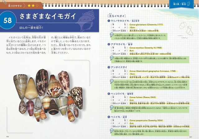 図鑑】みんなが知りたい！貝殻のすべて