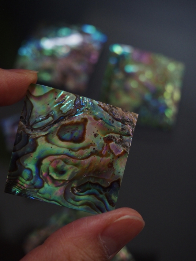 鮑玉　アワビの貝殻　アバロンパール　真珠付き約1cm強 鮑玉 アワビの貝殻 アバロンパール 真珠付き約1cm強 - メルカリ