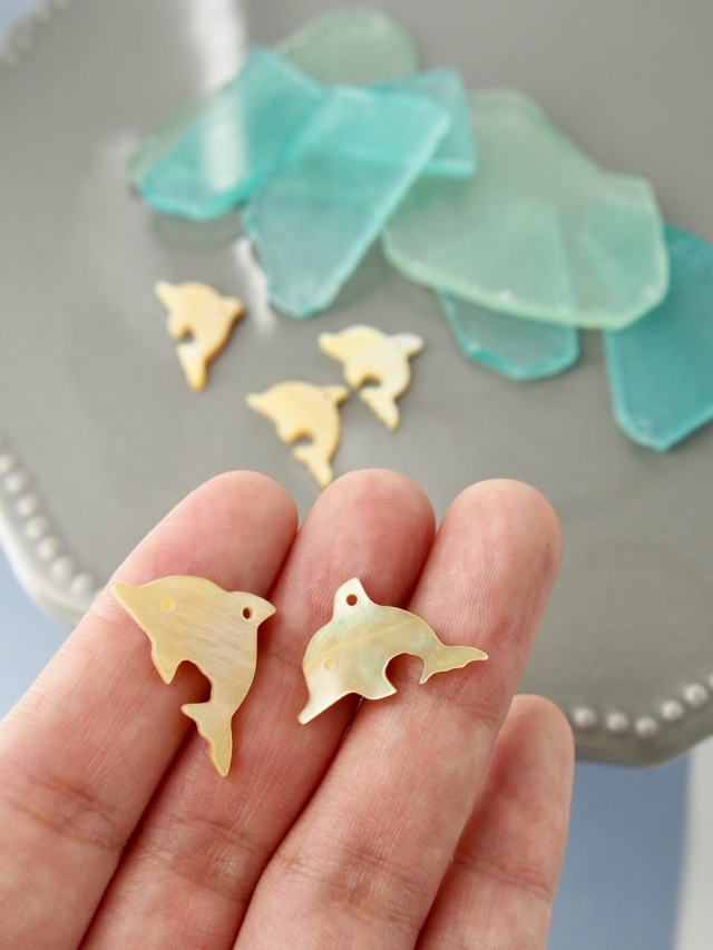 イルカ-51-(シロチョウガイ）【約2.0～2.3cm/1枚】[メール便可