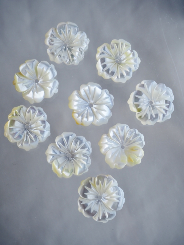 専用　①美　白蝶貝　シロチョウガイ　細密彫刻　貝細工　②2点　美　二枚貝 シロチョウガイ - Wikipedia