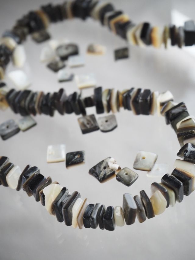 ブラックリップ#24【約0.5～0.8cm/1本約40cm】(クロチョウガイ)[メール