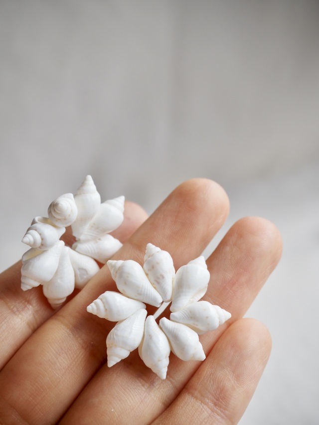 11月のお買い得 [20%OFF]ナサシェルホワイトリング（約2.5±0.5cm/10個