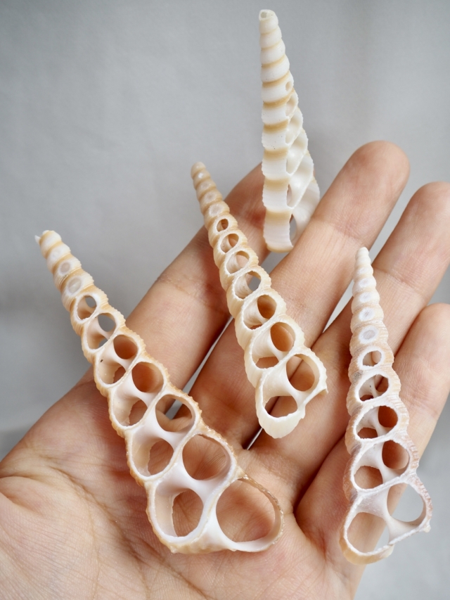 玉・クジラ・貝殻デザインのパーツ20点セット(ジャンク品もあり) 玉