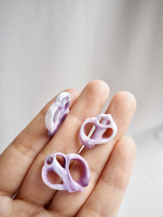 カットバイオレシア(クチムラサキサンゴヤドリ)【約1.5～3.0cm