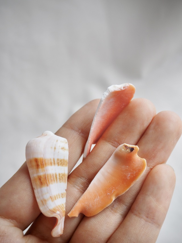 レジンヘアゴム ダイヤ ひし形 オレンジ ホワイト バイカラー シェル