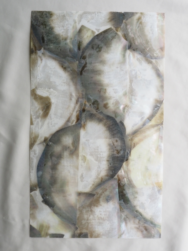 貝殻シート#21 ブラックリップ（クロチョウガイ）【14×24cm 厚さ0.18