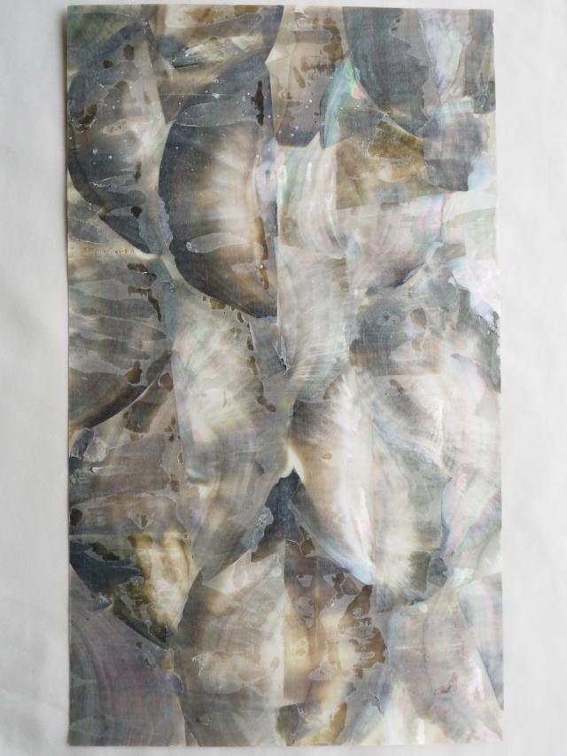 貝殻シート#23 ブラックリップ（クロチョウガイ）【14×24cm 厚さ0.18