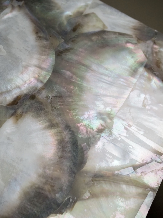 貝殻シート#21 ブラックリップ（クロチョウガイ）【14×24cm 厚さ0.18