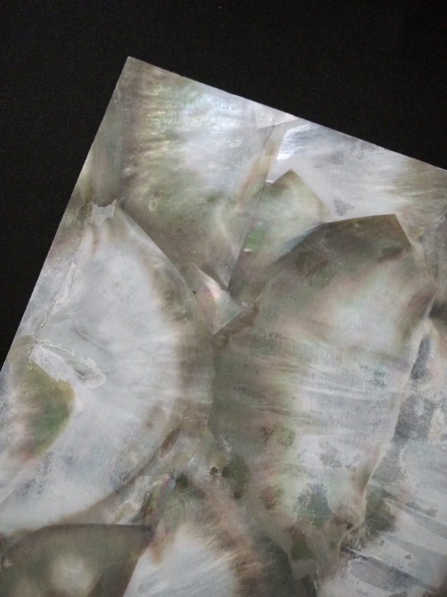 貝殻シート#21 ブラックリップ（クロチョウガイ）【14×24cm 厚さ0.18