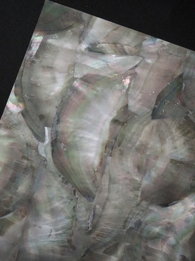 貝殻シート#23 ブラックリップ（クロチョウガイ）【14×24cm 厚さ0.18