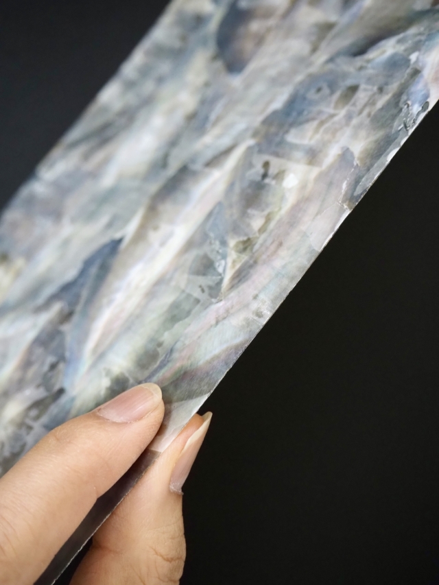 貝殻シート#23 ブラックリップ（クロチョウガイ）【14×24cm 厚さ0.18