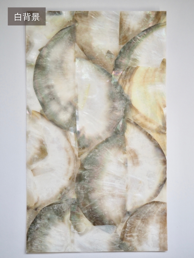 貝殻いろいろ 71oBT3v89OL._AC_UF894,