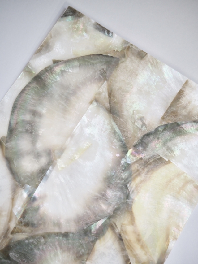 貝殻シート#21 ブラックリップ（クロチョウガイ）【14×24cm 厚さ0.18